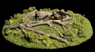 Foxhole and Fallen Trees - 20MBMC041