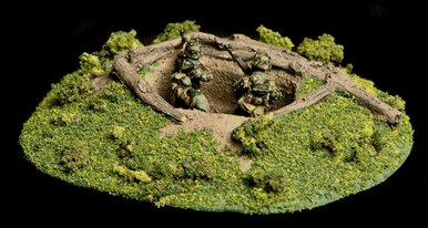 Foxhole and Fallen Trees - 20MBMC041