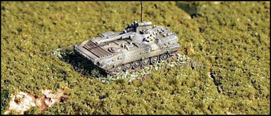BMP-2 - W35