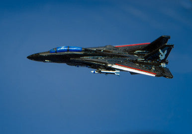 F-14 Tomcat (1/pk) - AC86