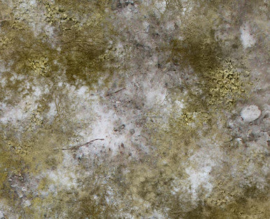 Battle Mat - Winter Scrubland