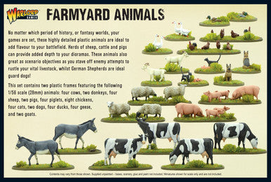 Farmyard Animals