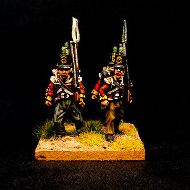 British Flank Company (8/pk)