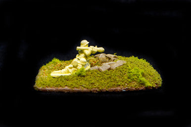 Small Defensive Fighting Position - 15MSCE003