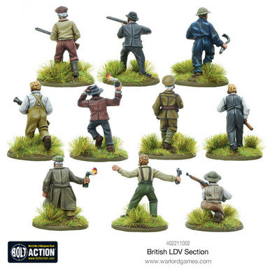 Bolt Action: British LDV section