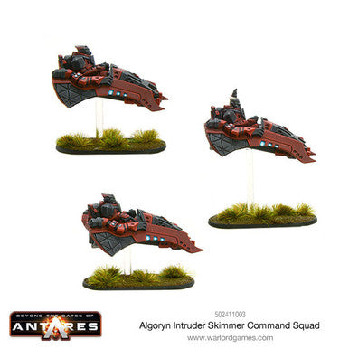 Algoryn Intruder Command
