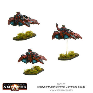 Algoryn Intruder Command
