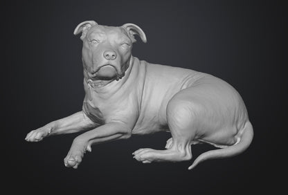 Dogs - Nora - 28mm (SLA001)