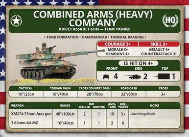 Team Yankee World War III: RDF/LT Assault Gun Platoon