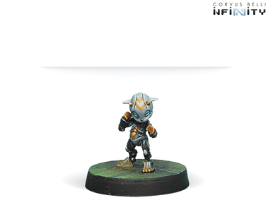 Infinity (#613) Dire Foes Mission Pack 6 - Defiant Truth
