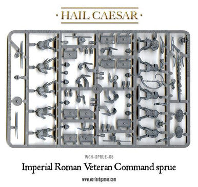 Hail Caesar: Roman Veterans
